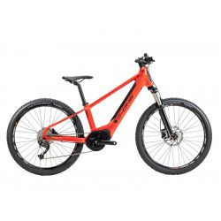 G-One Redwood Junior