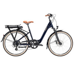 Organ’e-Bike Disc